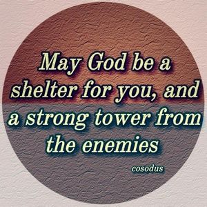 Meet your Posher, Jane